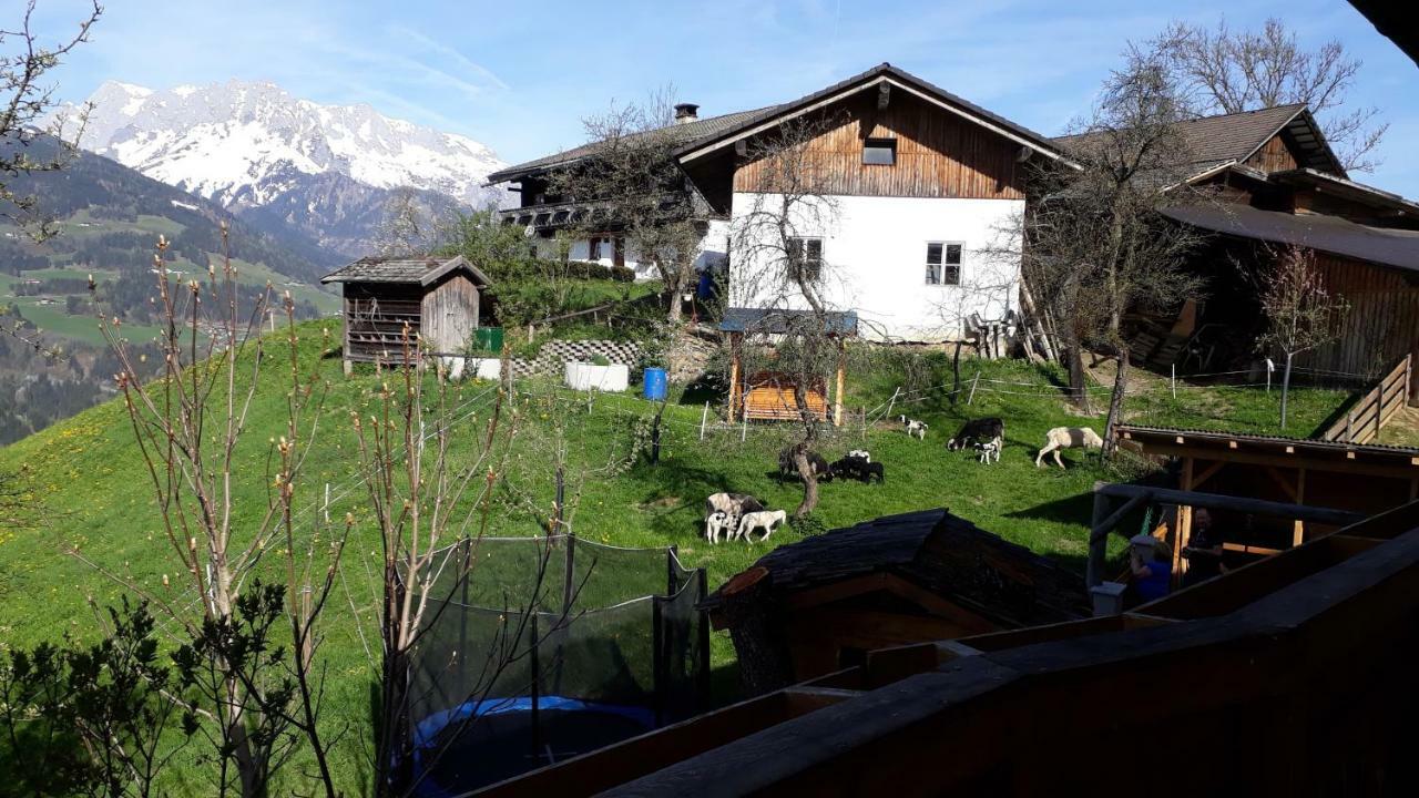 Landhaus Katharina Bischofshofen Exteriér fotografie